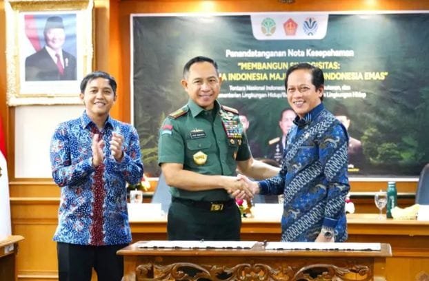Panglima TNI